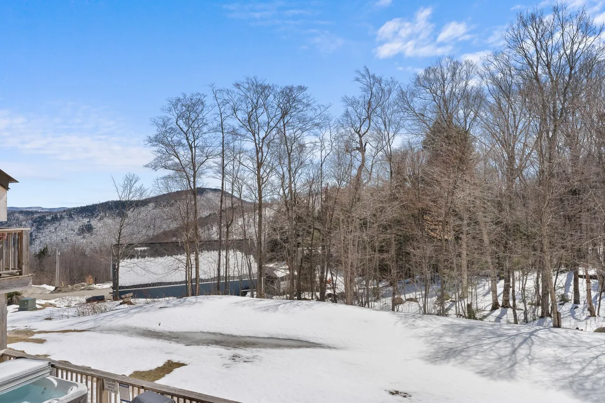 A sweeping view of snow-covered ground, bare trees, and distant mountains under a blue sky. The serene landscape highlights the area’s seasonal beauty and the wide range of outdoor adventures available, from winter sports to hiking and wildlife observation.